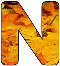 Herbstbuchstabe-2-N.jpg